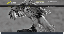 Desktop Screenshot of falconladder.com